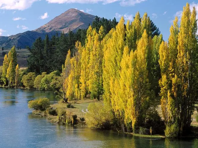 数字化高效独特